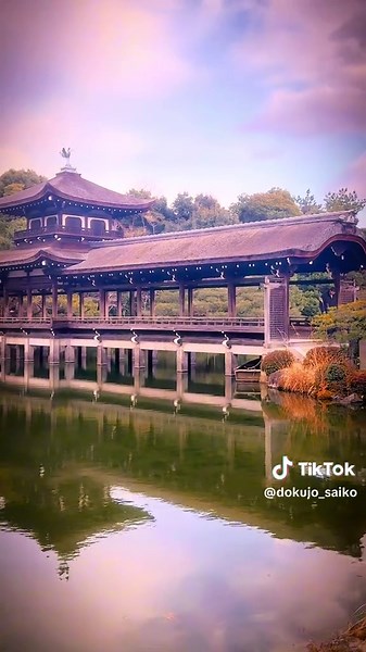 【平安神宮神苑】京都市左京区 平安神宮の社殿を取り囲むように 東西南北四つの庭園からなっている 明治時代の代表的な日本庭園💓 国の名勝になっているだけあり、 その美しさは一見の価値あり✨ 水面にシンメトリーに反射する建物は、息を呑む美しさです😌 #日本庭園 #平安神宮 #japantravel #京都旅行 #CapCut