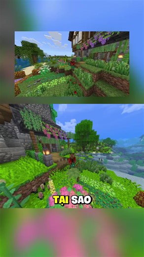 Bí mật màu sắc trong Minecraft Bedrock của người nổi tiếng