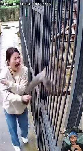 Monkey Suddenly Grabs Woman’s Hand at Zoo
