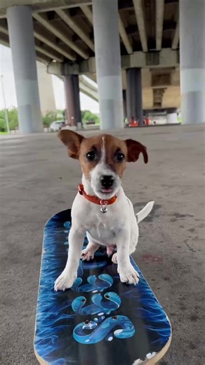 Skateboarding Skills: Turning Around on Your Board