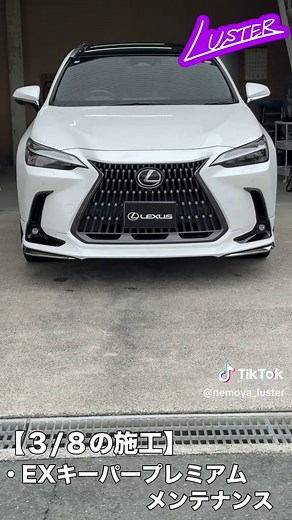 Lexus NX350h Model L Overview and Features