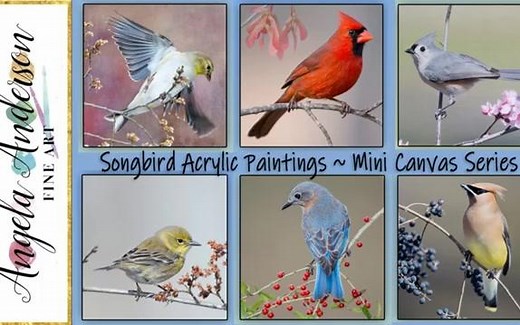 手把手教你画丙烯之鸟类合集