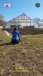 266K views · 738 reactions | Discover the innovative world of movable...