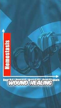 Wound Healing - Phase 1 Hemostasis