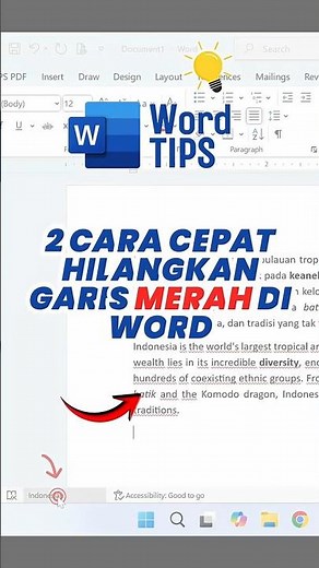 Cara Menghilangkan Garis Merah di Microsoft Word dengan Mudah 2 langkah Praktis!