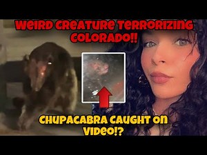 WEIRD! Creepy Creature TERRORIZING Pueblo Colorado Finally CAUGHT On Video By TERRIFIED Woman !!!