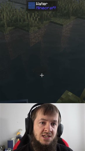 The turtle in Minecraft Cave Horror Project 1 looks different