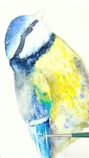 Watercolor Made Easy: Blue Tit Bird