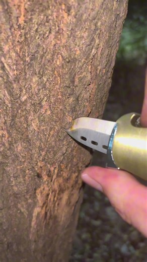 physical damage or magical damage? #lighter #fyp #harleyrider#newyearnewme #TikTokshopjumpstartsale