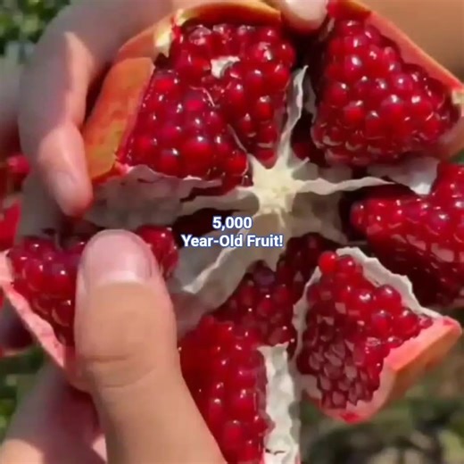 Mind-Blowing Pomegranate Facts You Never Knew!