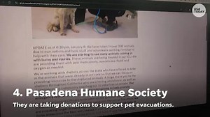 Looking to support victims of the California wildfires? Here's where to start