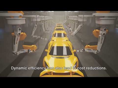 Dynamic Efficiency in Economics