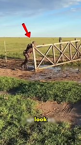 The Soldier Managed To Close The Border With His Perseverance 😲 . . . . . . #soldier #managed #border #Perseverance #explorepage #exploremore #vairalreels #reels | Labeeway