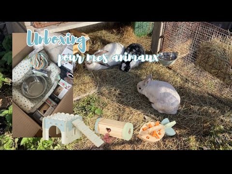 Unboxing and testing new Zolux products with my pets