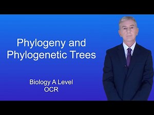 A Level Biology Revision "Phylogeny and Phylogenetic Trees"