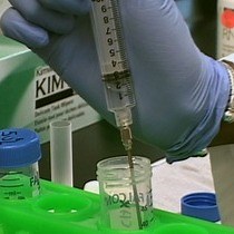 Video: Assessment of Selective mRNA Translation in Mammalian Cells by Polysome Profiling