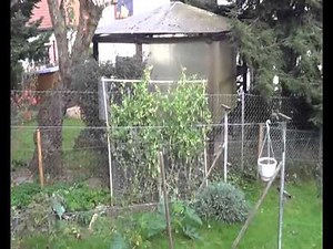 lessons learned 2014