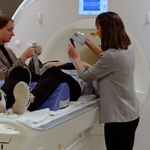 Video: Simultaneous Data Collection of fMRI and fNIRS Measurements Using a Whole-Head Optode Array and Short-Distance Channels