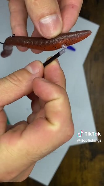 Worm Rigs for Bass Fishing: Essential Tips and Techniques