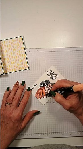 Stampin' Up! Coneflower Celebrations