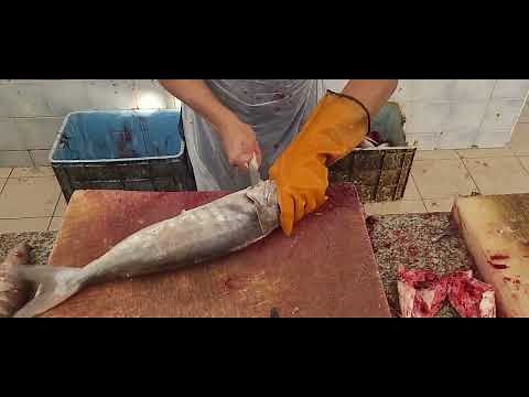 The Ultimate Fish Cutting Tutorial: Knife Skills and Tricks Revealed