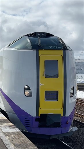 【爆音エンジン】N-DMF13HZLエンジン キハ261系 長万部駅発車 #気動車 #キハ261 #キハ261系 #函館本線 #北斗 #特急北斗 #JR北海道 #JR #函館線 #北海道 #気動車の音