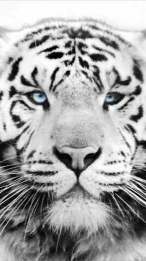 Listen and Learn: Master the Art of Effective Communication