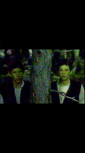 Virdžina (1991) - Autentičan VHS snimak iz programa RTB (1992) | Poslednji jugoslovenski film #vhs