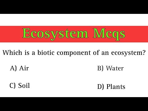 Ecosystem MCQ | ecosystem class 12 mcq | ecology mcq