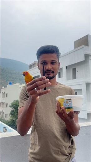 💥Chintu update💥 #dailyvlog #minivlog #fishrakesh #vlog #telugu #parrot #pets #food #home