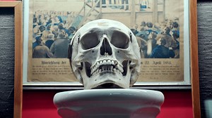 Wiener Blut – Auf den Spuren der ersten Profiler (2023) | ČSFD.cz