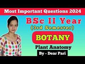 BSc II Year 3rd Semester Botany Paper - 2 Important Questions 2024 | Plant Anatomy ‪@Dear_Pari‬
