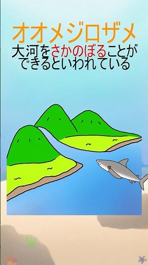 About the Bull Shark [1-Minute Aquarium/Explanation of Marine Life and Fish Ecology] #shorts #fis...