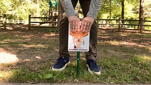 Watch Funny Dog Poop Lawn Puppy Sign on Amazon Live