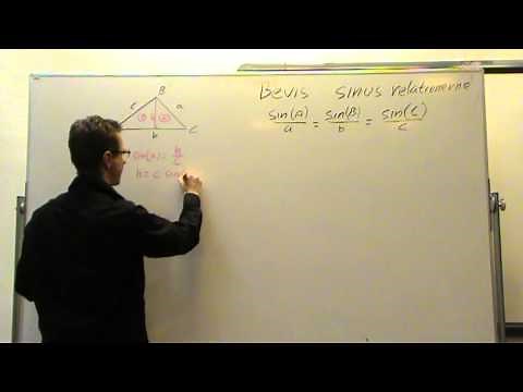 Sinusrelationerne bevis