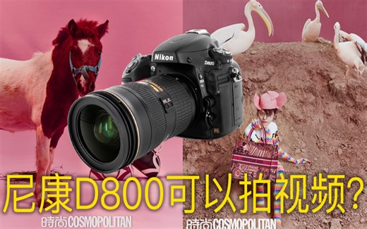 用尼康D800原生画面拍视频！ 平面摄影师首次用单反拍视频试水成功