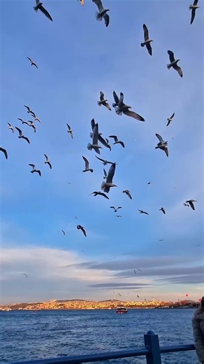 Exploring Istanbul: A Journey Through Turkey's Rich Culture