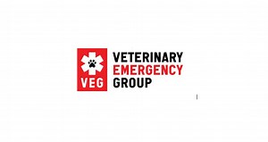 Veterinary Emergency Group awards full tuition scholarship to two CVM students
