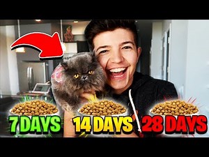 my CAT decides how long to BAN MINECRAFT HACKERS