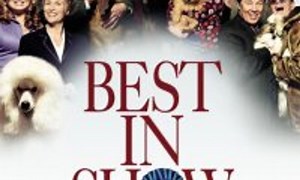 Best in Show - Where to Watch and Stream Online – Entertainment.ie