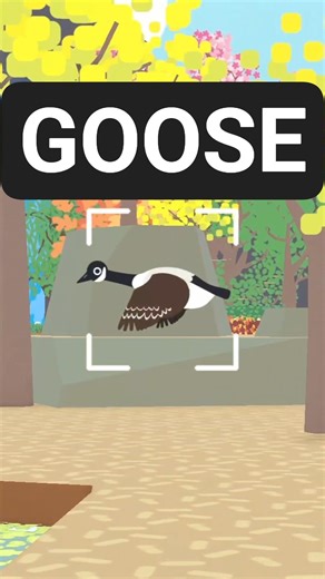 some bird game gameplay