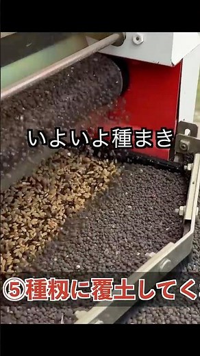 【苗づくり】種子消毒→浸種→種まき→芽出し→苗並べを30秒で紹介