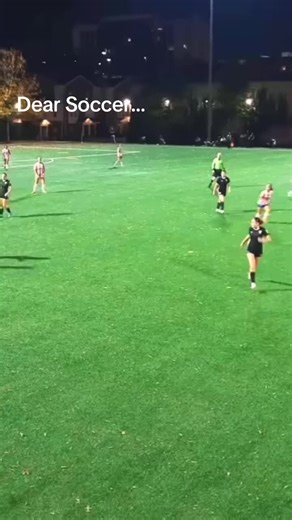 The Impact of Concussions on Soccer Goalkeepers