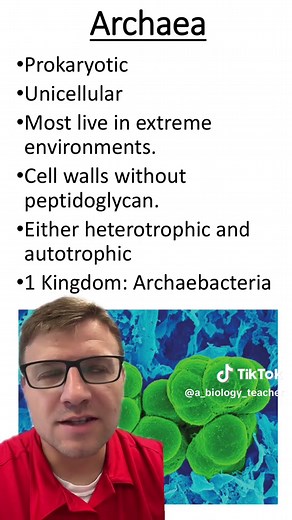 Understanding the Three Domains of Life in Biology