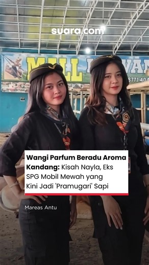 Aroma parfum yang melekat di tubuh Nayla seolah beradu dengan bau khas kandang yang memenuhi udara. Di tengah lenguhan ratusan sapi dan lantai yang sesekali becek oleh sisa pakan maupun kotoran ternak, perempuan muda itu tetap berdiri rapi dengan senyum yang tak lepas dari wajahnya. Pemandangan tersebut mungkin sulit dibayangkan beberapa pekan lalu. Sebab, sebelum berada di Mall Hewan Kurban Haji Doni di kawasan Jalan Akses UI, Depok, Nayla terbiasa bekerja di lingkungan yang jauh berbeda: showr