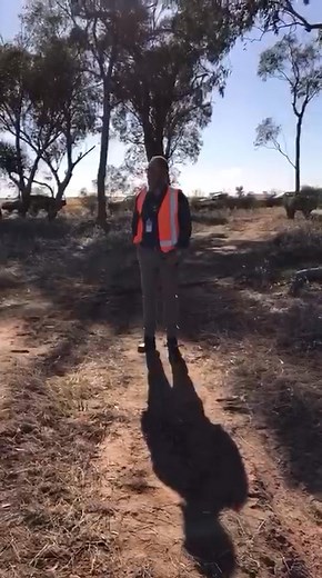 Access denied Jacinta AllanJess Wilson MP | WJ Elsworth