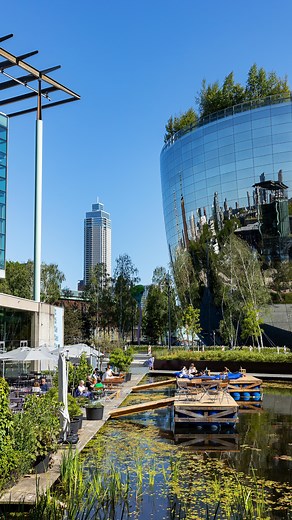 5.9K views · 192 reactions | ✨️ Rotterdam and architecture: a true...