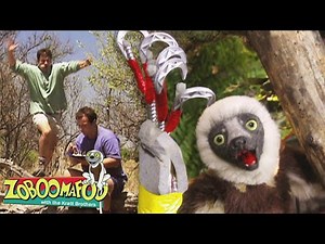 Super Claw | Zoboomafoo - WildBrain | Movies for Kids