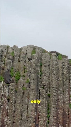 Nature Didn't Build This… Or Did It? 📐 #shorts #basaltcolumns #geology ⁠#iceland #traveltok #nature
