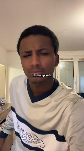 Understanding the Process of Metamorphosis